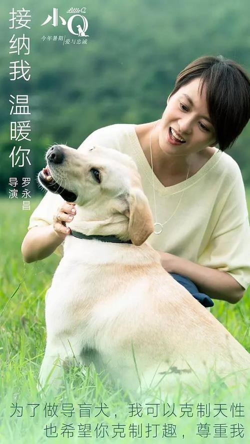 普林西皮亚学院本科毕业证